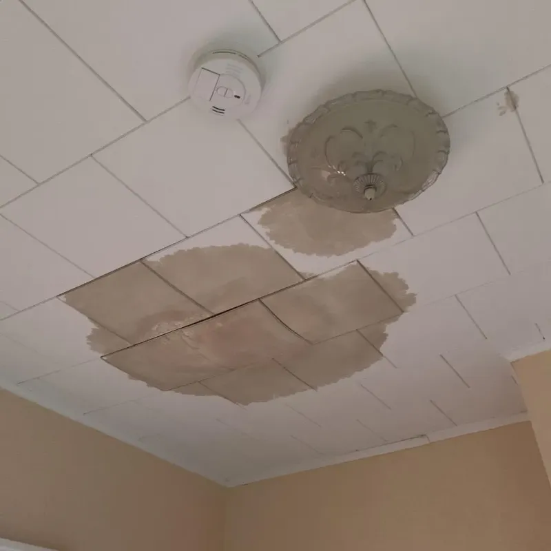 Ceiling Water Damage Repair in Houghton, NY