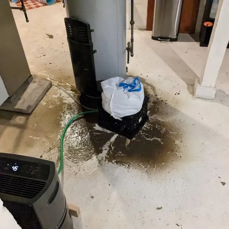 Sewage Backup Cleanup Service in Houghton, NY